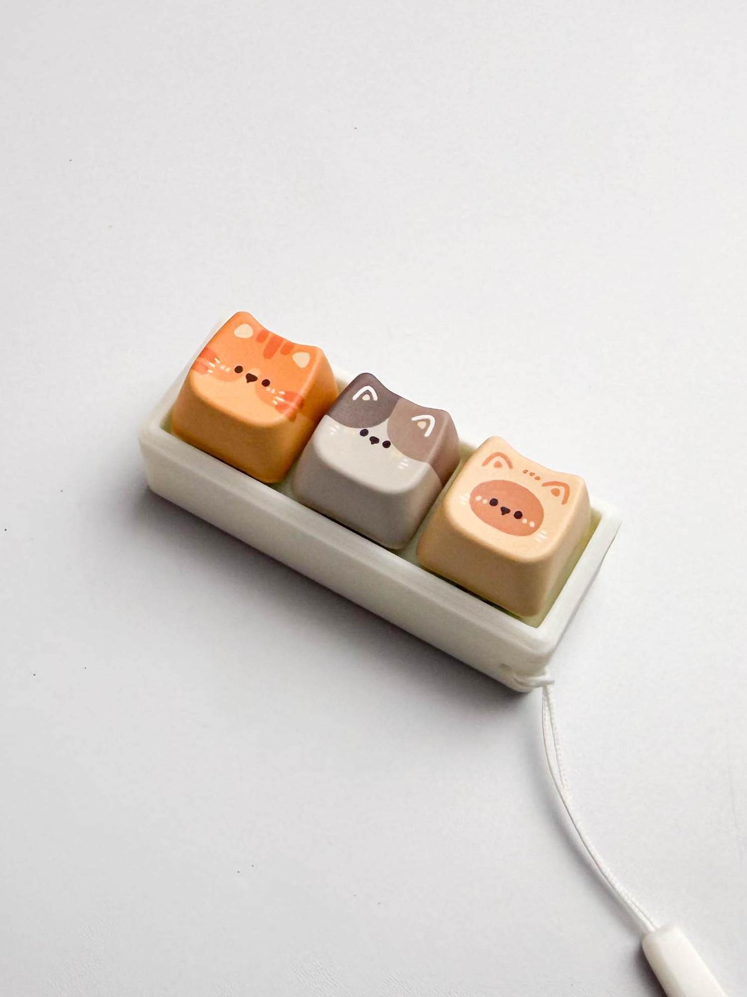 Cat Themed Mechanical Switch Tester with Stress Relief Function